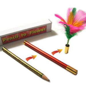 Transformation d’un Crayon en Fleurs
